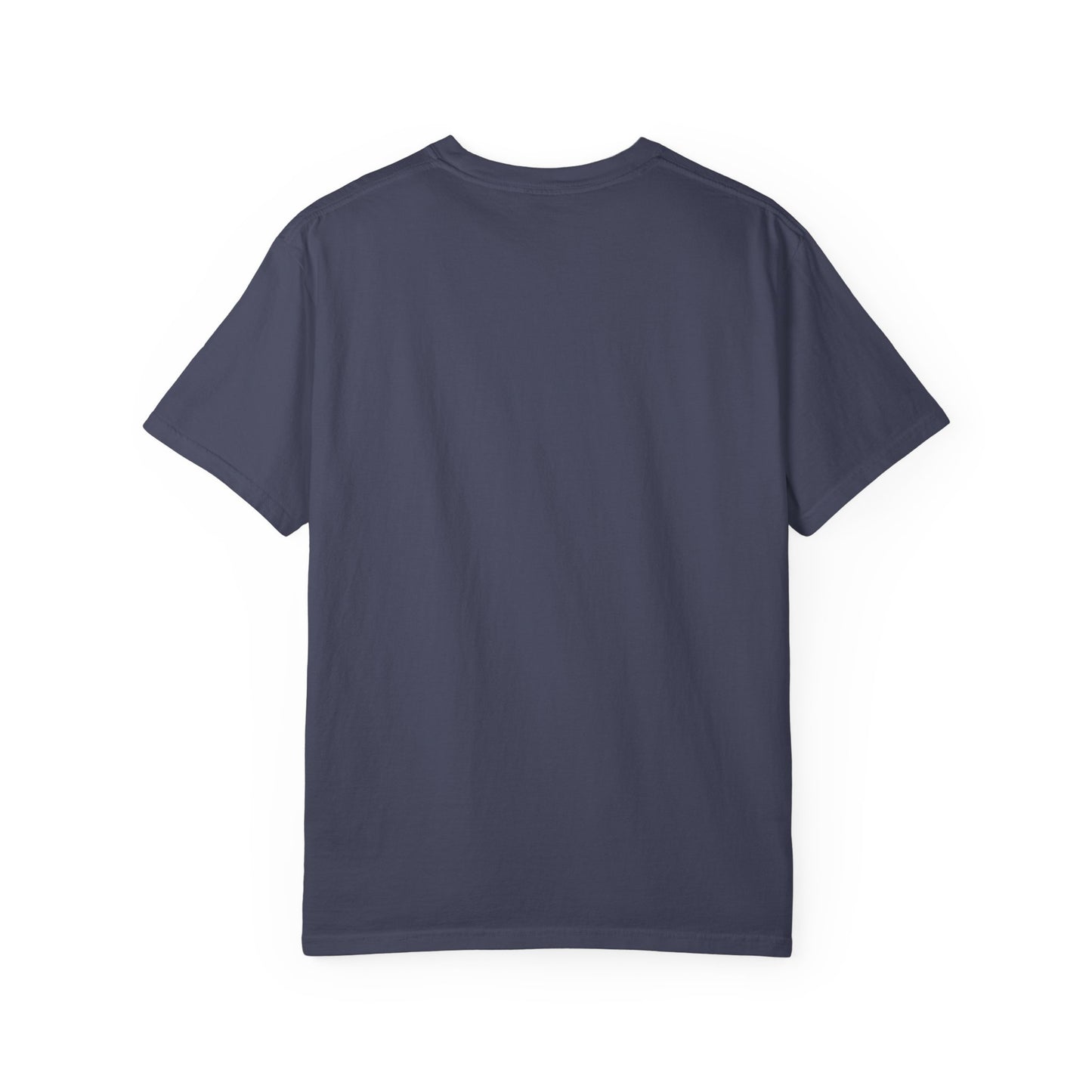 Patriotic Duck American Flag T-Shirt | Fourth of July Farmhouse - Goose