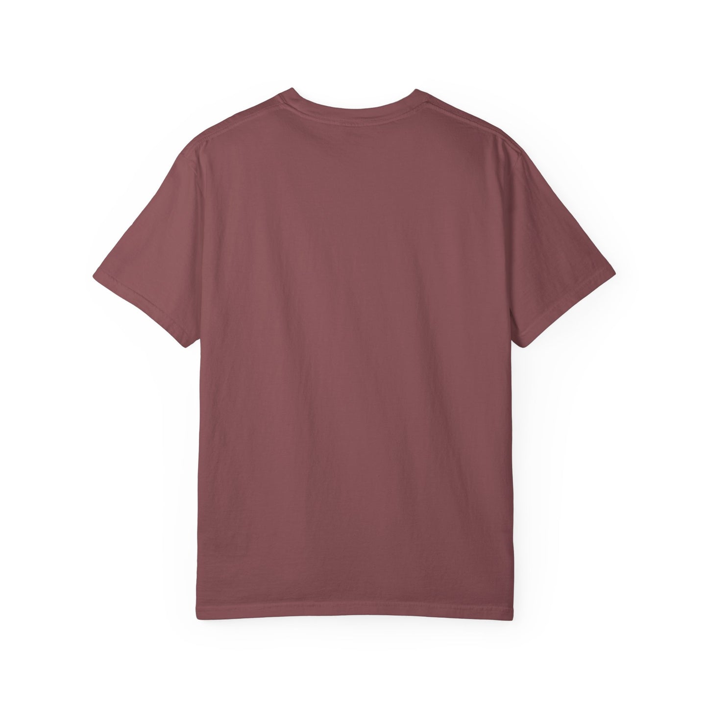 Panthers Patchwork Inspired T-Shirt